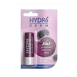 بالم لب مرطوب کننده هیدرودرم مدل Hydroderm Blackberry