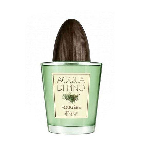 عطر ادکلن پینو سیلوستره آکوا دی پینو فوژه | Pino Silvestre Acqua di Pino Fougere